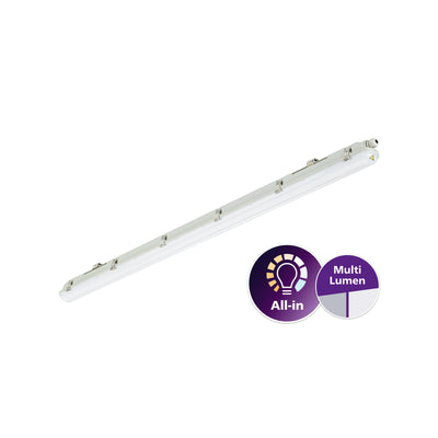Philips WT065C lampada LED impermeabile 30-53W 4000K 4100-6800 lumen IP65 IK08 1507mm Grigio