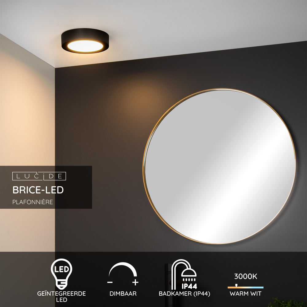 Lucide BRICE plafoniera LED da bagno, 12W 3000K dimmerabile, IP44 rotonda Nera Ø18cm