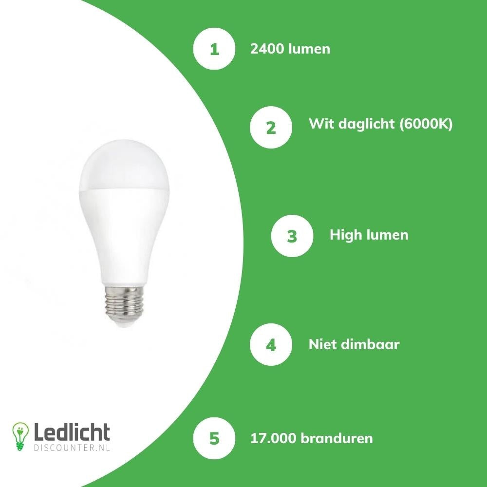 Spectrum LED bulb E27 20W 2400 lumens 6000K cold white 230V 160° high lumen non dimmable