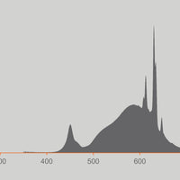 Ledvance LED Classic A60 Opaca E27 Dimmerabile 3.8W 2700K 806 lumen Bianco Caldo Classe Energetica A