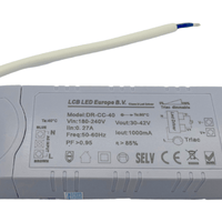 Lcb dimmable LED driver for 36W/40W LED panel, 30-42V 1000mA, IP20, triac phase cut