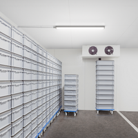 Philips WT060C plafoniera LED stagna, 46W 4000K, 5600 lumen, IP66 IK08, 1558mm Grigio