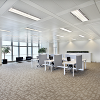 Philips MAS LEDtube HF T8 1500mm 24W 6500K 3700 lumen Opaco G13 Luce diurna fredda CE RoHS