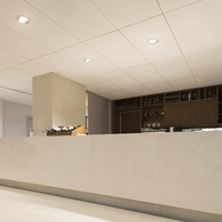 Lampada a risparmio energetico Philips CorePro LED PLL HF 16.5W 4000K 2100 lumen 2G11 Bianco Freddo