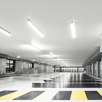 Philips MAS LEDtube HF 1200mm HO T8 14W 4000K Bianco Freddo 2100 lumen G13 Opaco CE RoHS