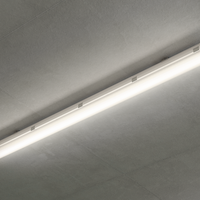 Philips CoreLine WT120C G2 LED plafoniera stagna 30W 4000K 3400 lumen IP65 IK08 1515mm Grigio