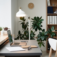 Philips CorePro Lampadina LED 10.5W E27 A60 4000K Bianco Freddo 1521 lumen non dimmerabile 230V 300° finitura opaca