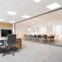 Pannello LED Philips 595x595mm 22W-31W 3000K-4000K 2900-4300 lumen dimmerabile DALI UGR19 IP20/44 Bianco