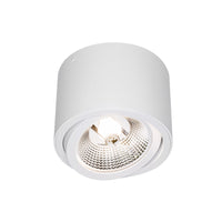 Plafoniera LED Spectrum CHLOE AR111 GU10, Rotonda Bianca Regolabile, A Soffitto, IP20 20W Max