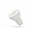 Lampadina Spectrum LED GU10 230V 6W CCT 6000K 550 lumen Fascio 38° Corpo Bianco CRI 80 Non Dimmerabile