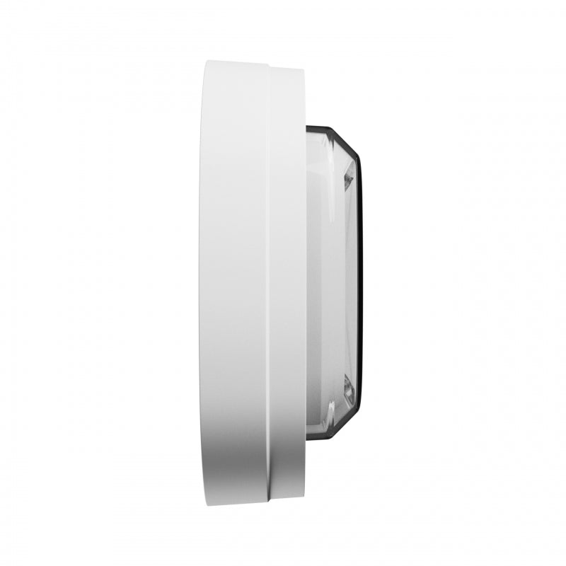 Spectrum PASTILO 15W lampada LED ovale da superficie, CCT 230V, 1800 lumen, fascio 120°, IP54 IK10, Bianco