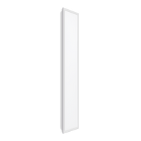 Pannello LED Tsong 33W 4000K 3630 lumen 120x30cm IP20 CRI 80 Alluminio Bianco per uffici e scuole